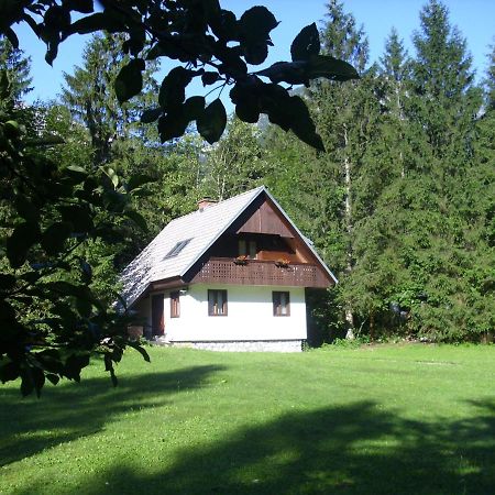 Apartment Lake Bohinj No. 5 Buitenkant foto