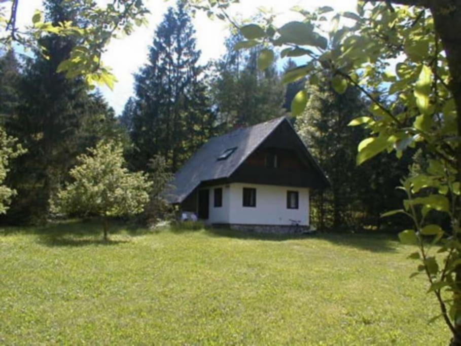 Apartment Lake Bohinj No. 5 Buitenkant foto
