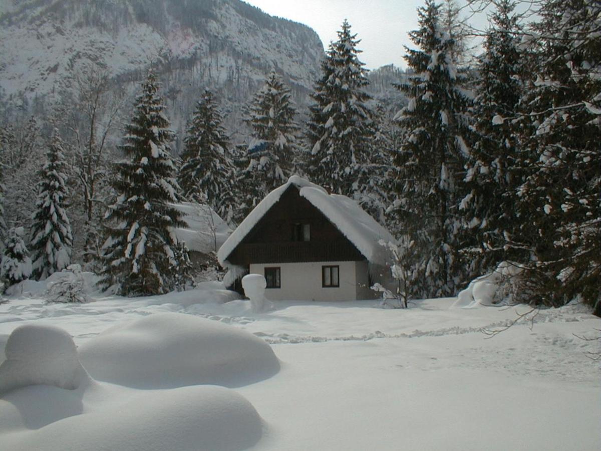 Apartment Lake Bohinj No. 5 Buitenkant foto