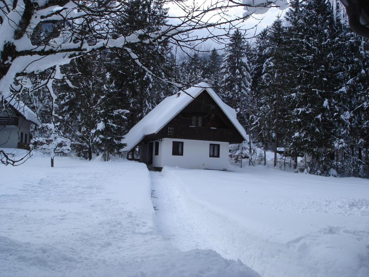 Apartment Lake Bohinj No. 5 Buitenkant foto